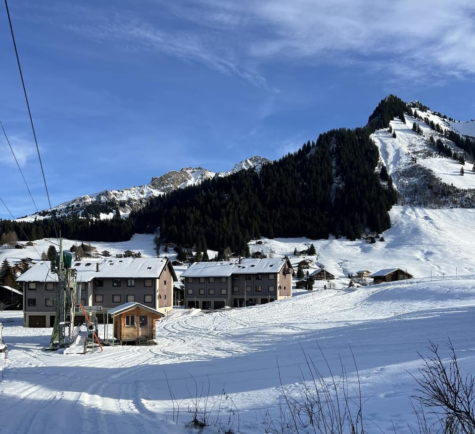 Property building, Winter, Skiing, View (from property/room), Mountain view