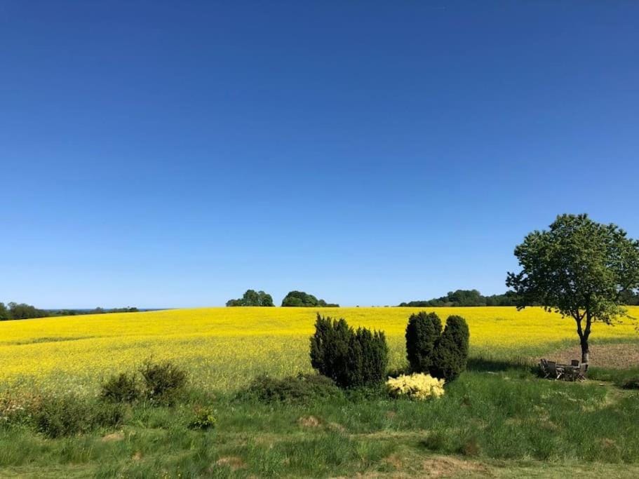 Natural landscape, Summer, View (from property/room)