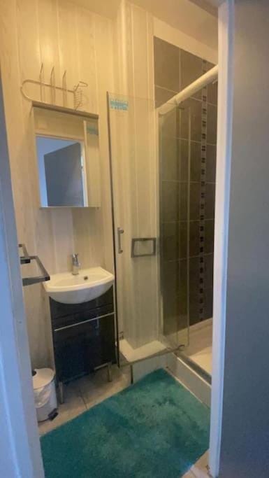 Appart de 5 chambres sur Nancy Apartment in Nancy