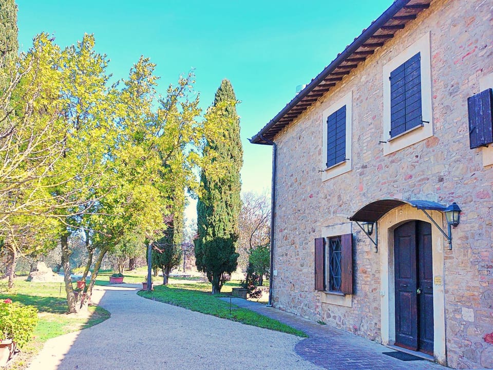Property building, Spring, Day