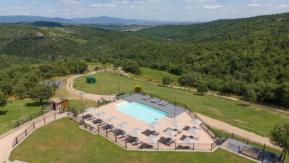 Bird's eye view, Garden, Swimming pool, sunbed