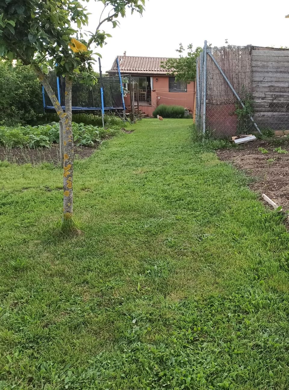 Spring, Garden, Garden view