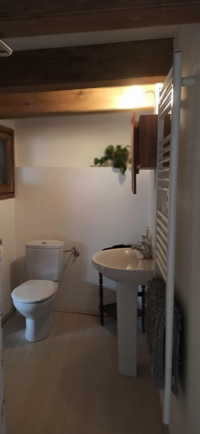 Toilet, Bathroom