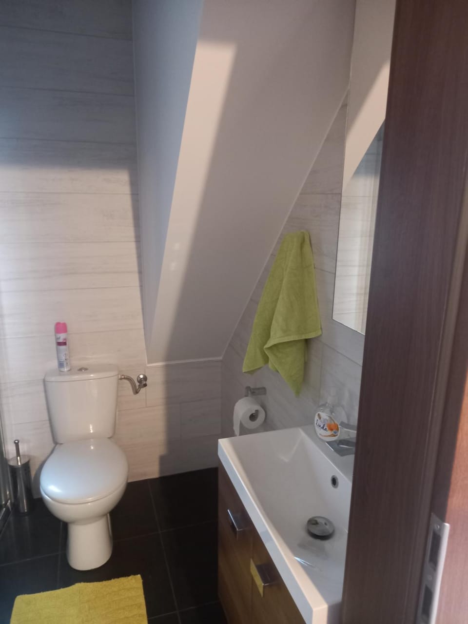Olesiówka Apartment in Poland