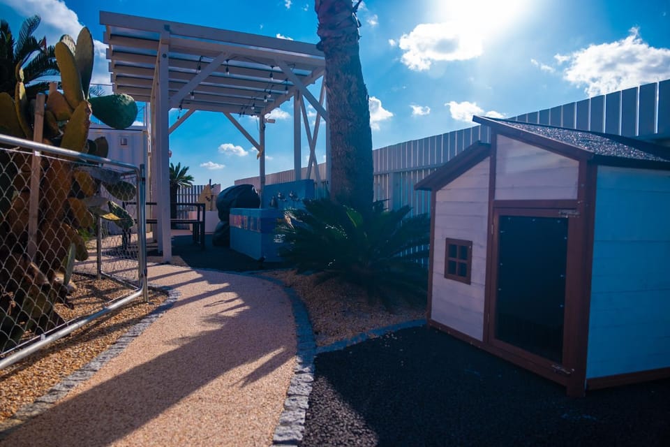 Property building, Day