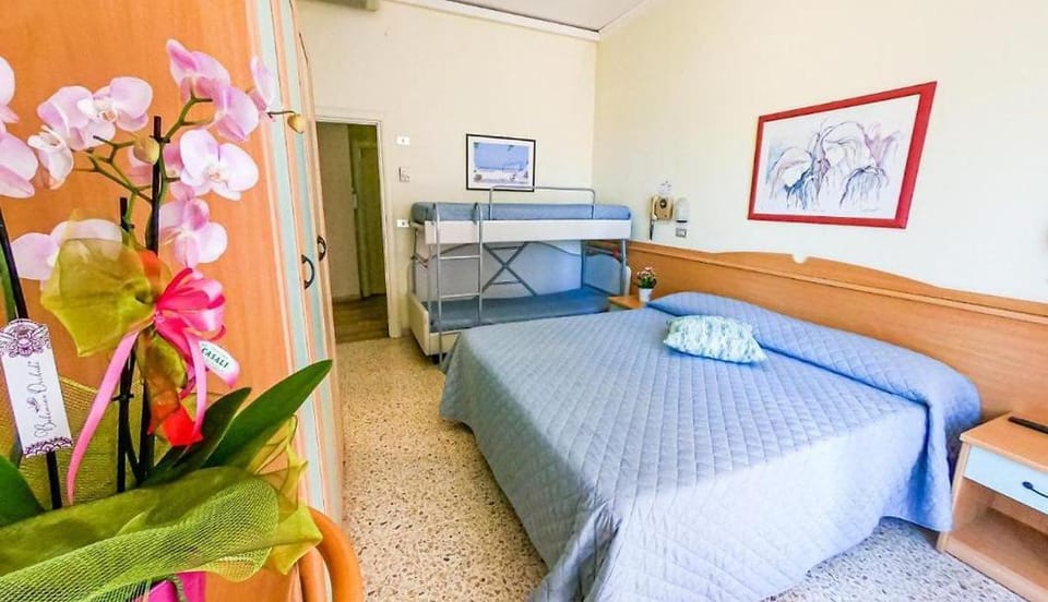 Bed, Photo of the whole room, Bedroom, bunk bed