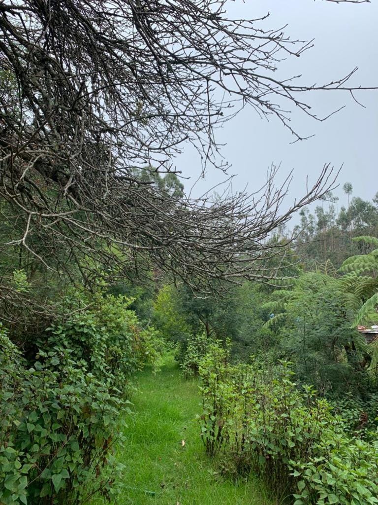 Natural landscape