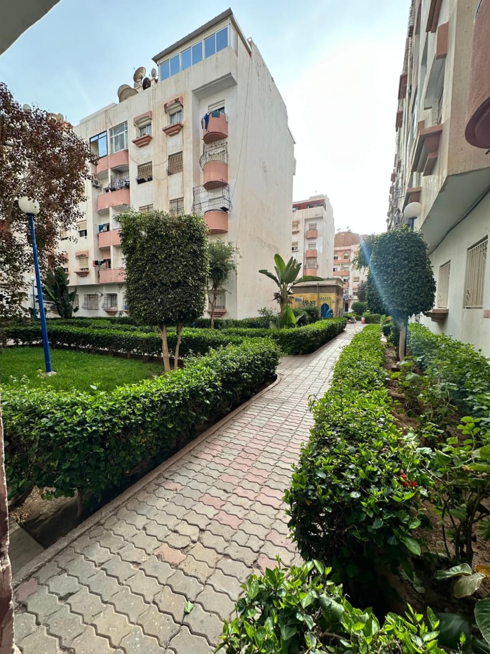 Natural landscape, Garden, Garden view