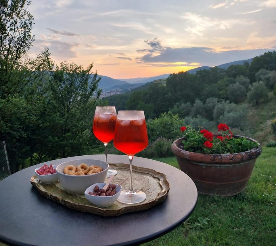 Casa Vacanza con Piscina 20 minuti da FIRENZE Apartment in Emilia-Romagna
