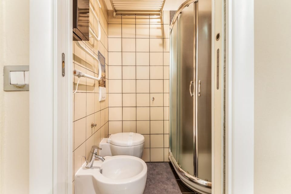 Shower, Toilet, Bathroom, bidet