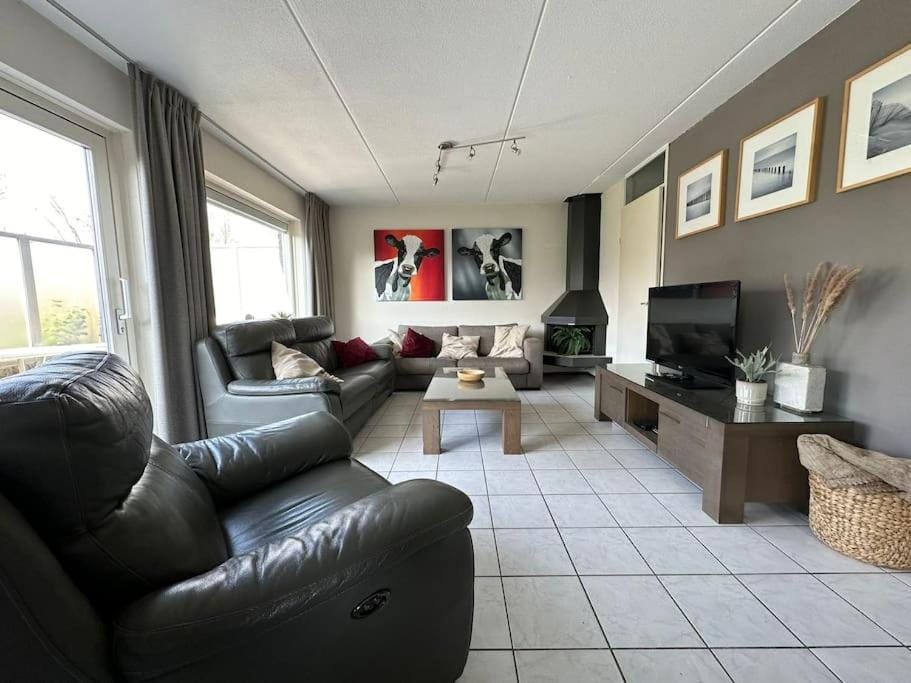 Communal lounge/ TV room, TV and multimedia, Living room