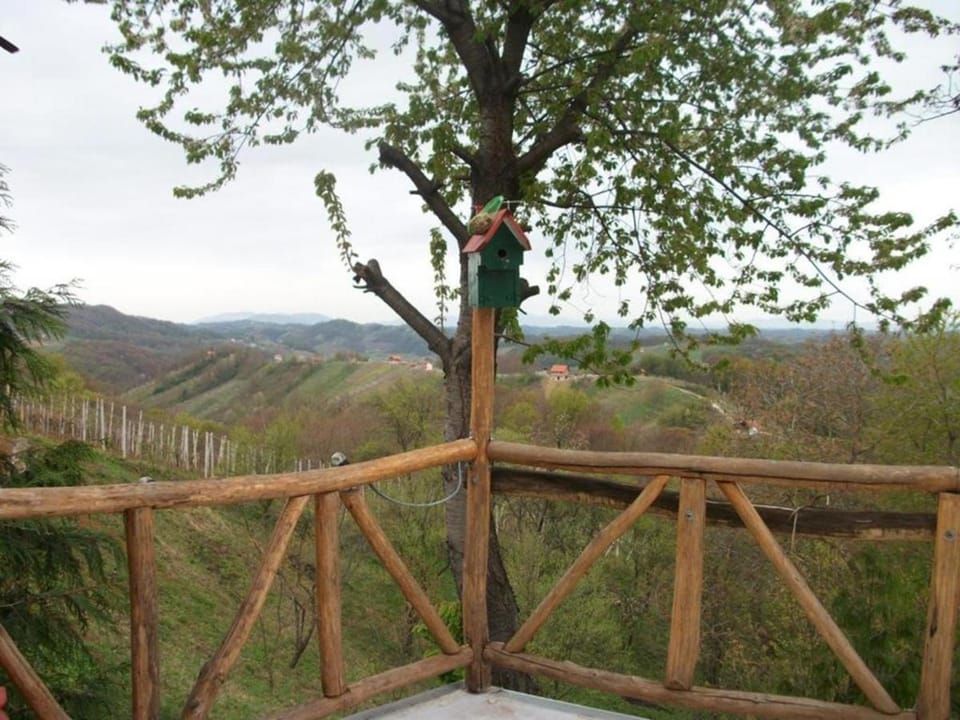 Spring, Day, Natural landscape, View (from property/room), Mountain view