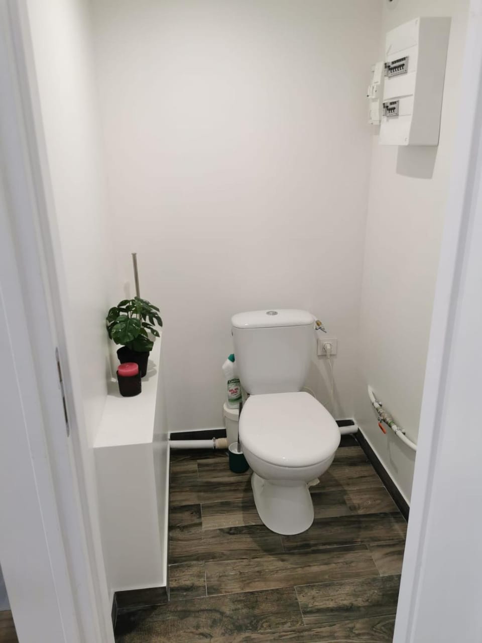 Le comptoir des grenouilles Apartment in Marseille