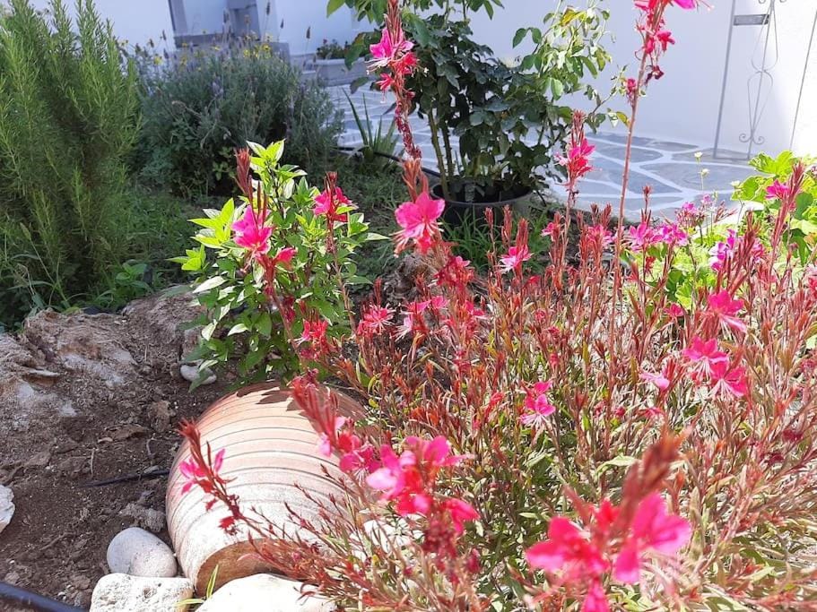 Day, Garden, Garden view