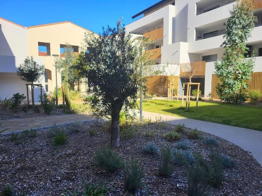 L'Appartement de l'Artiste By Avecoeur Apartment in Agde