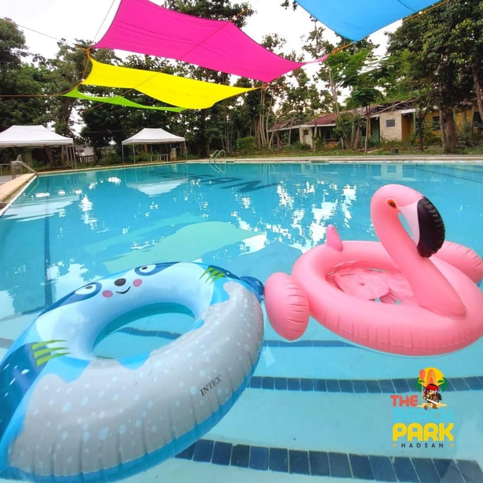 Day, Pool view, Swimming pool