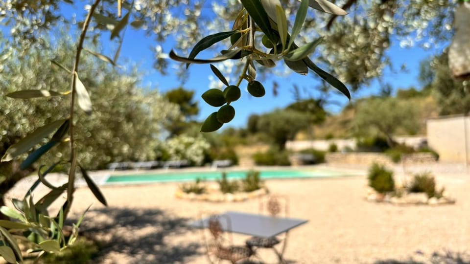 La Bergerie des Pottiers. Mas rénové climatisation Piscine Villa in Provence-Alpes-Côte d'Azur