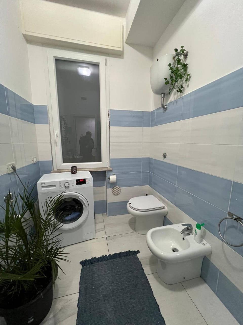 Butterfly Guest House Apartment in Bellaria - Igea Marina