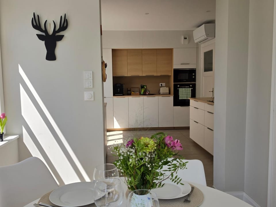 Le cocon d'Emma, appartement climatisé avec jardin et terrasse privé, parking Apartment in Strasbourg