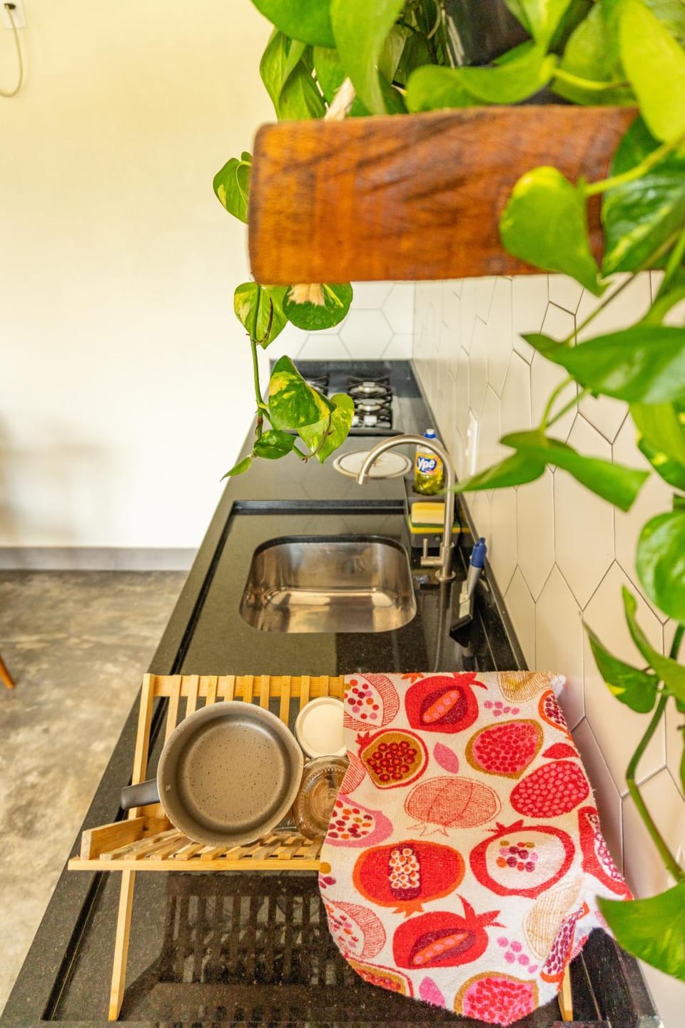 Lofts Lobo Guará House in State of Goiás