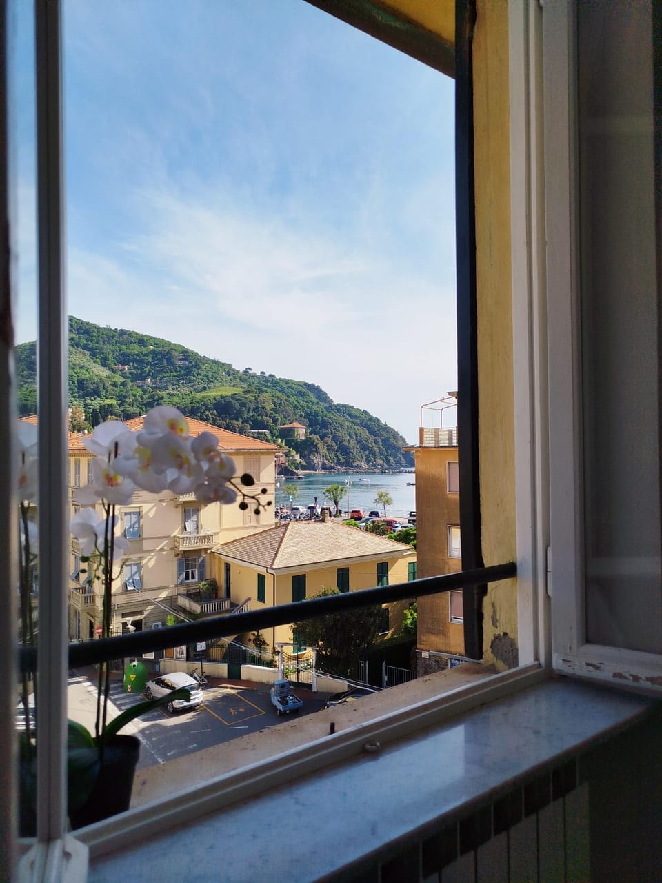 View (from property/room)