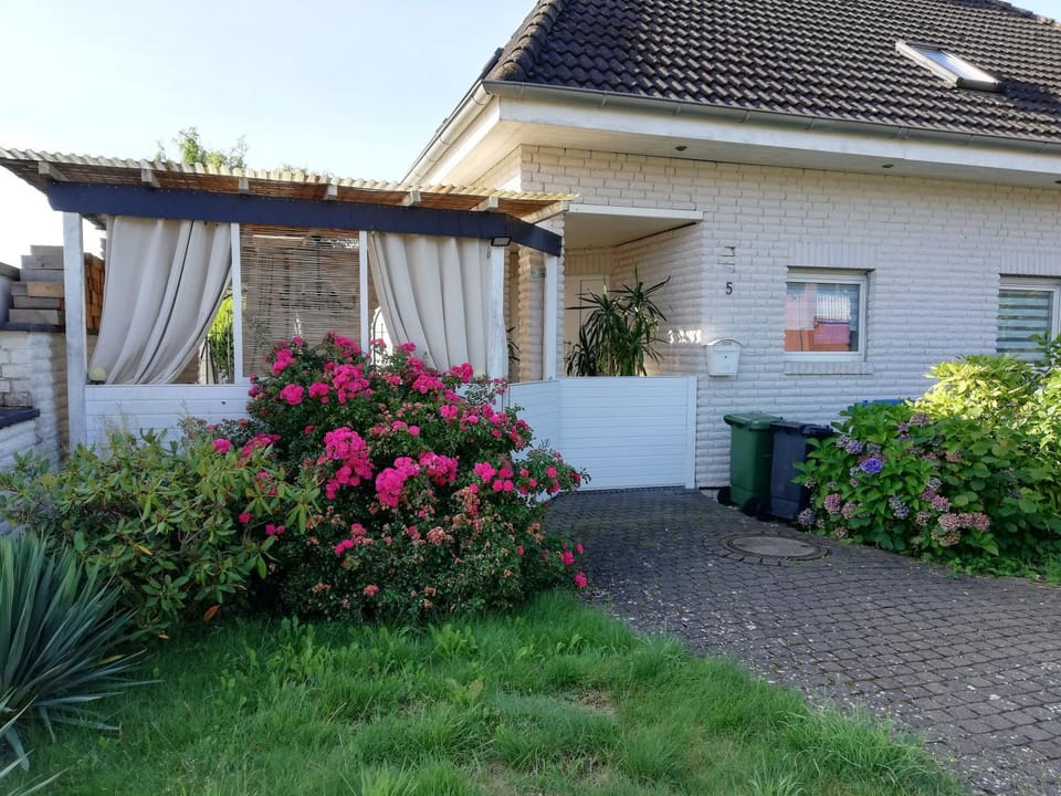 Property building, Garden