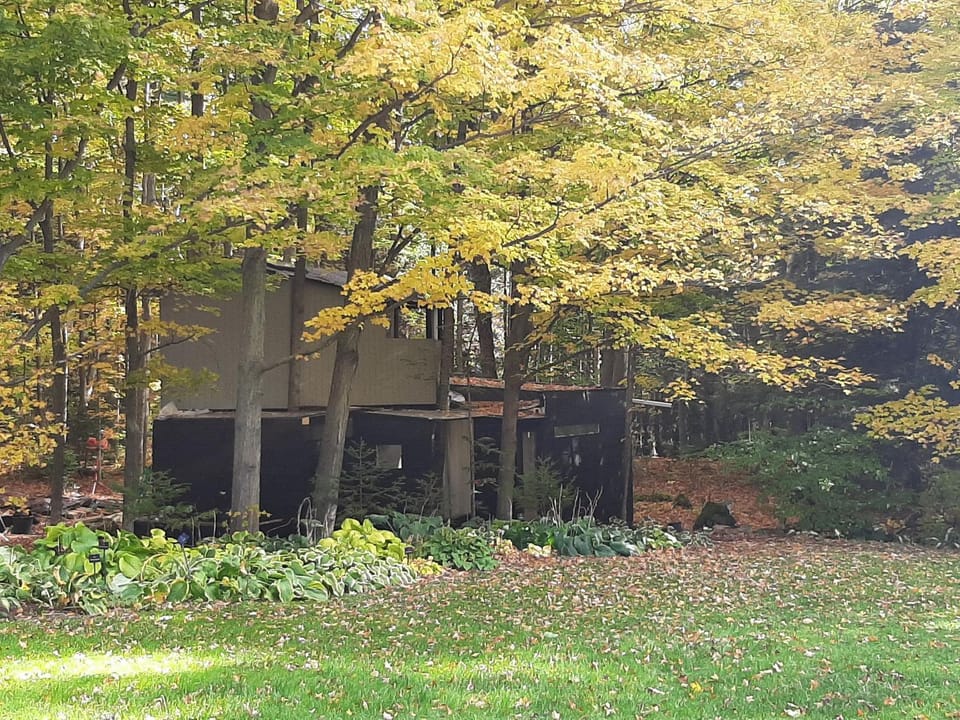 Autumn