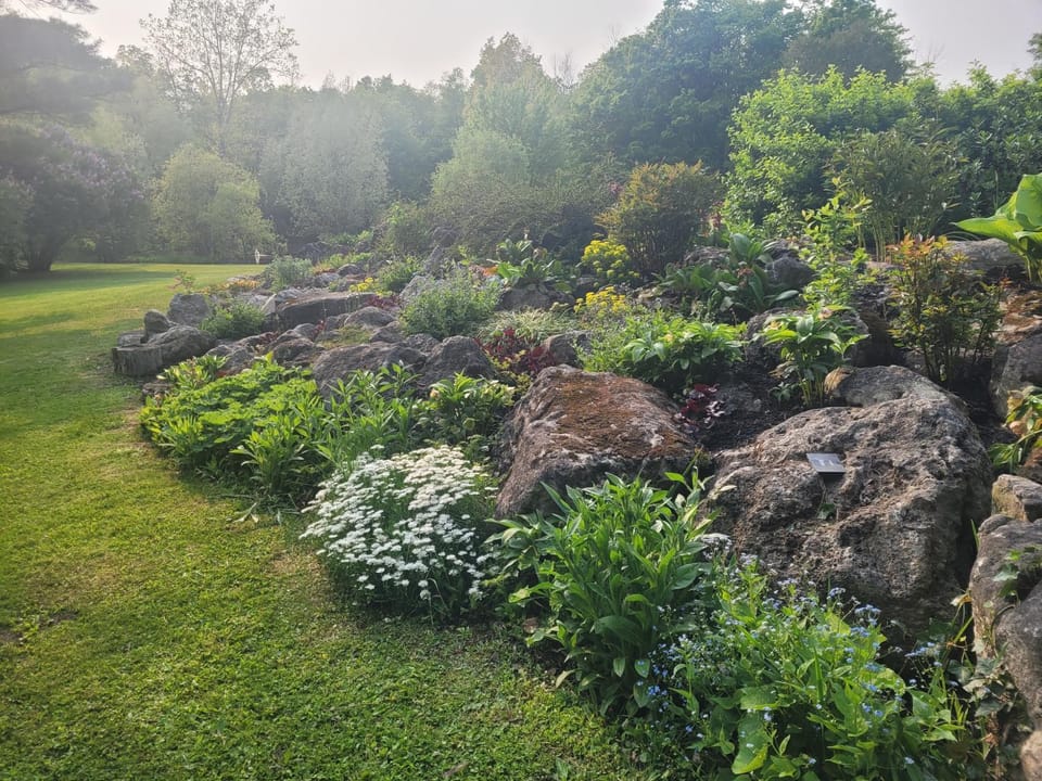 Garden view