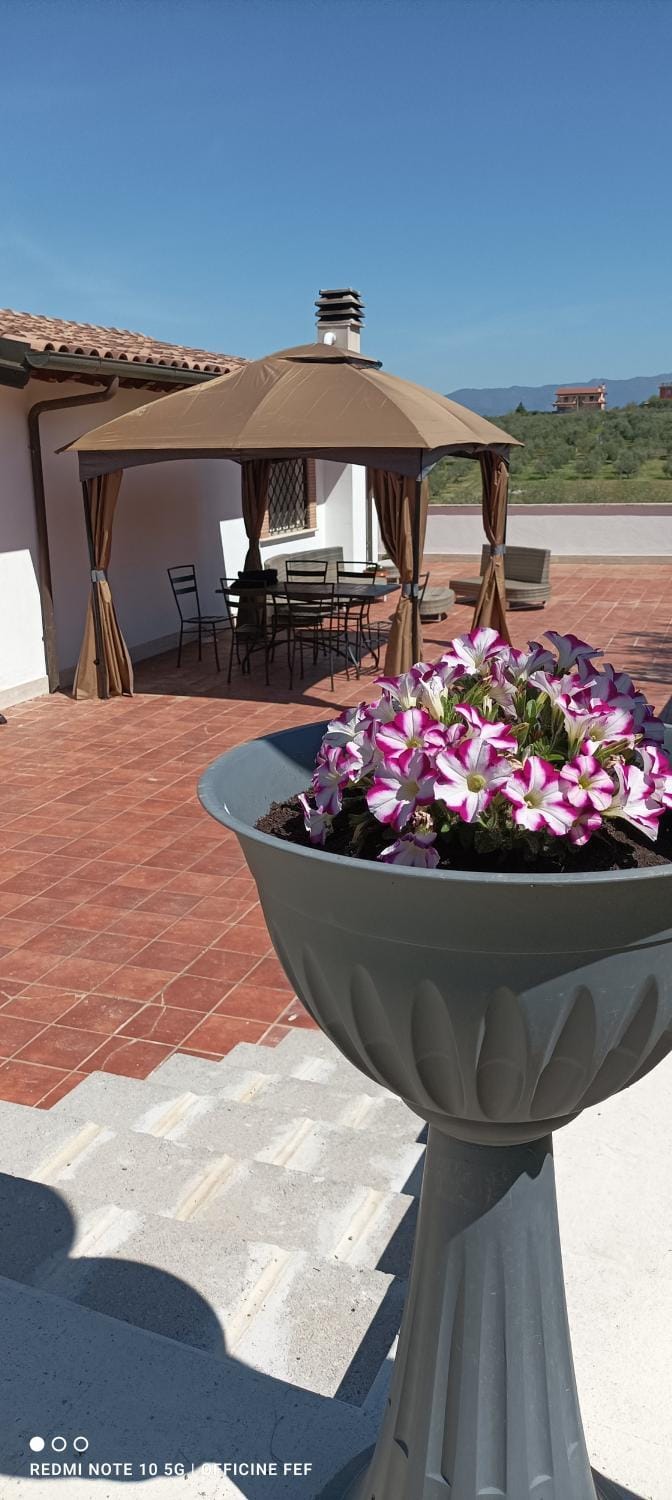 Property building, Balcony/Terrace