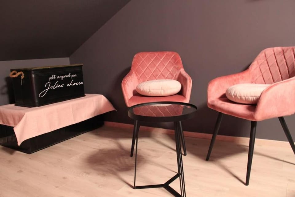 L'Ecrin duplex balnéo & Sauna Apartment in Troyes