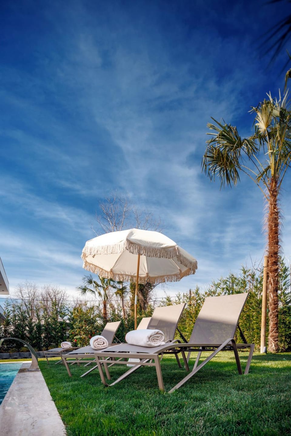 Natural landscape, Garden, Swimming pool, sunbed