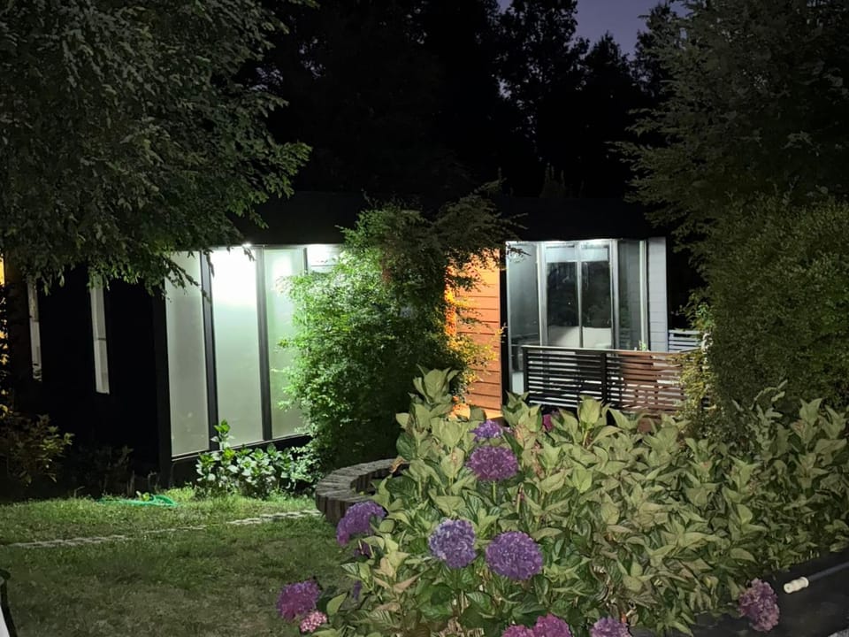 Property building, Night, Garden view