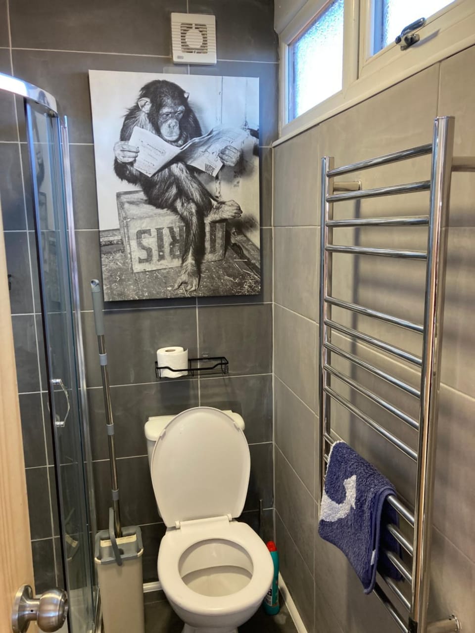 Toilet, Bathroom