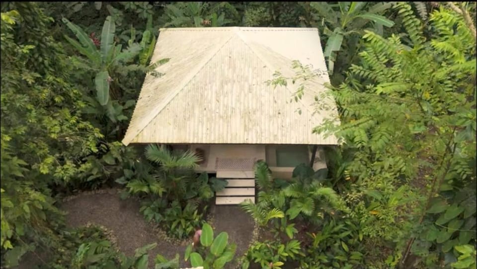 Off site, Bird's eye view, Garden, View (from property/room), Photo of the whole room, Garden view, Landmark view