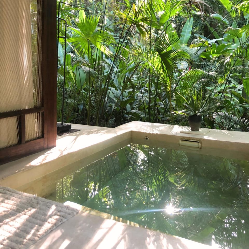 Natural landscape, Garden, Garden view, Pool view, Swimming pool