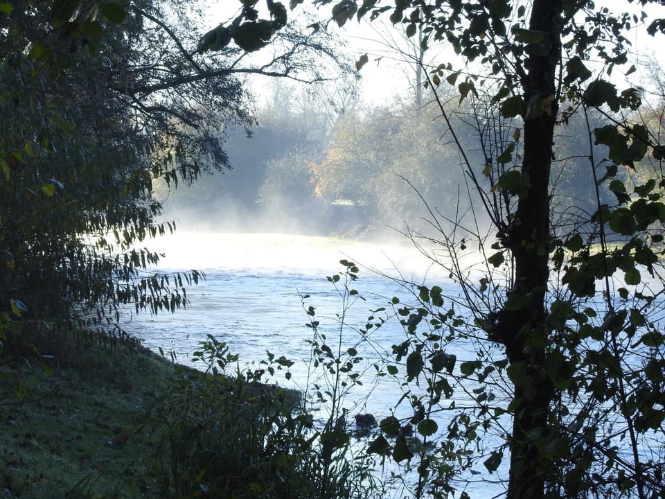 Le Moulin de Chamouilley Bed and Breakfast in Grand Est