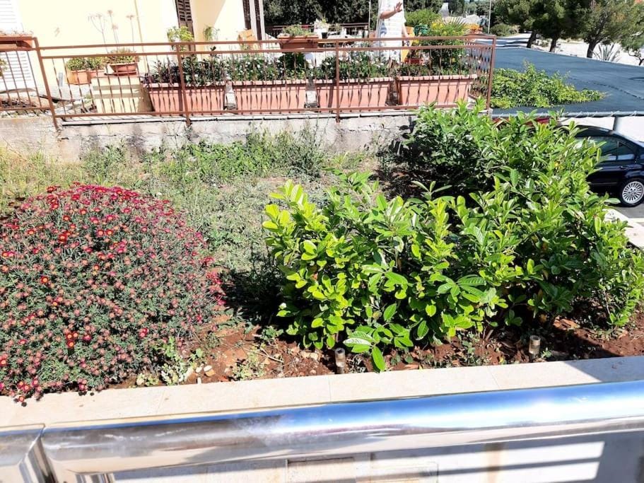 Garden, Garden view
