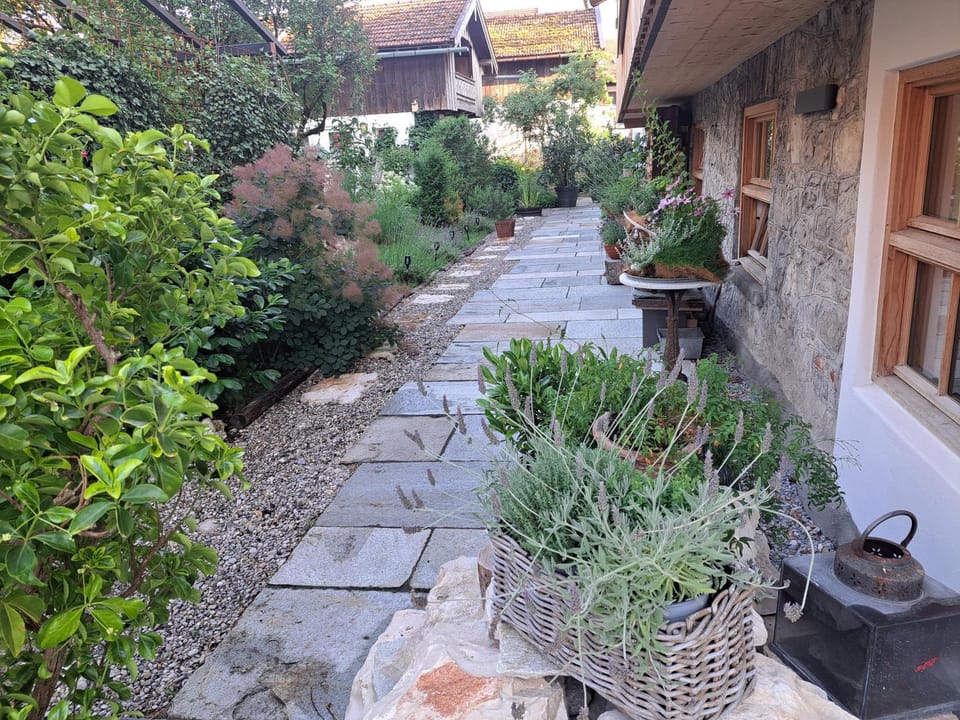 Facade/entrance, Garden view