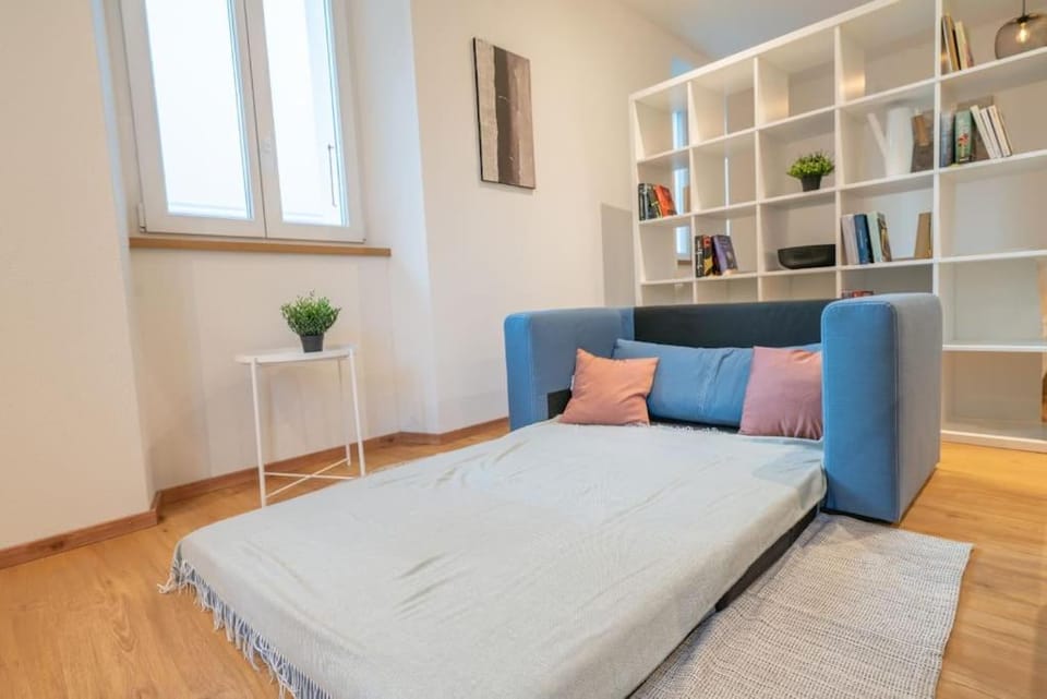 Loft DV1 - Bellissimo loft in Città Vecchia Locarno Apartment in Locarno
