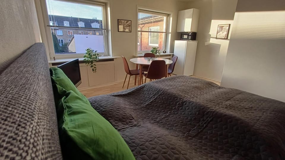 Free Parking Center of the City Studio Aalborg Apartment in Aalborg
