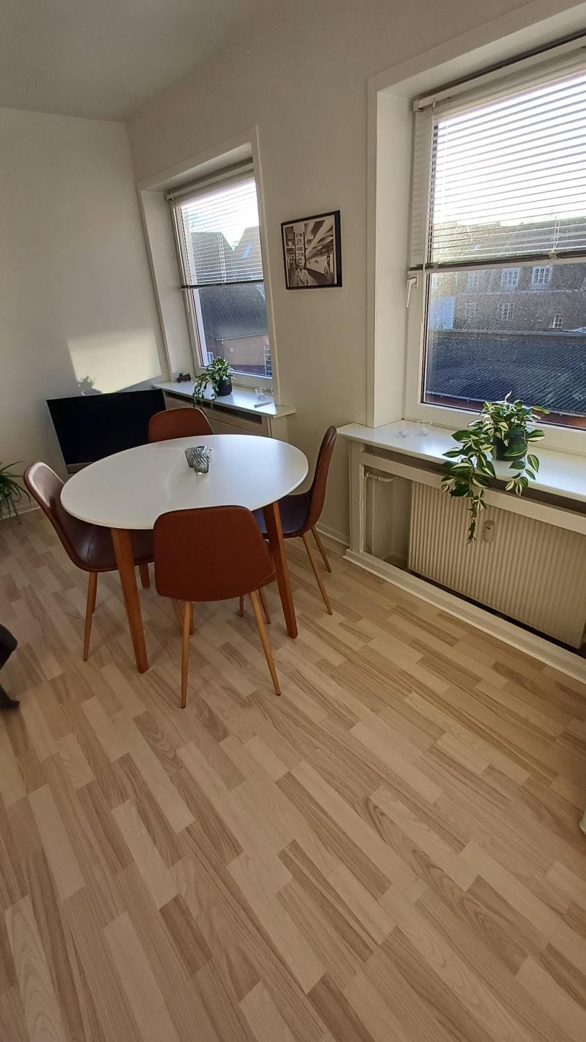 Free Parking Center of the City Studio Aalborg Apartment in Aalborg
