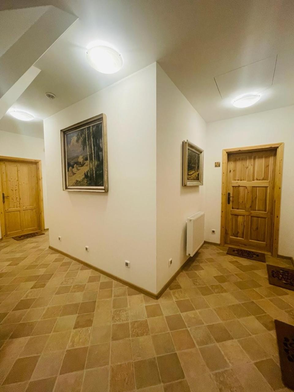Penzion U Hánů Bed and Breakfast in Czechia