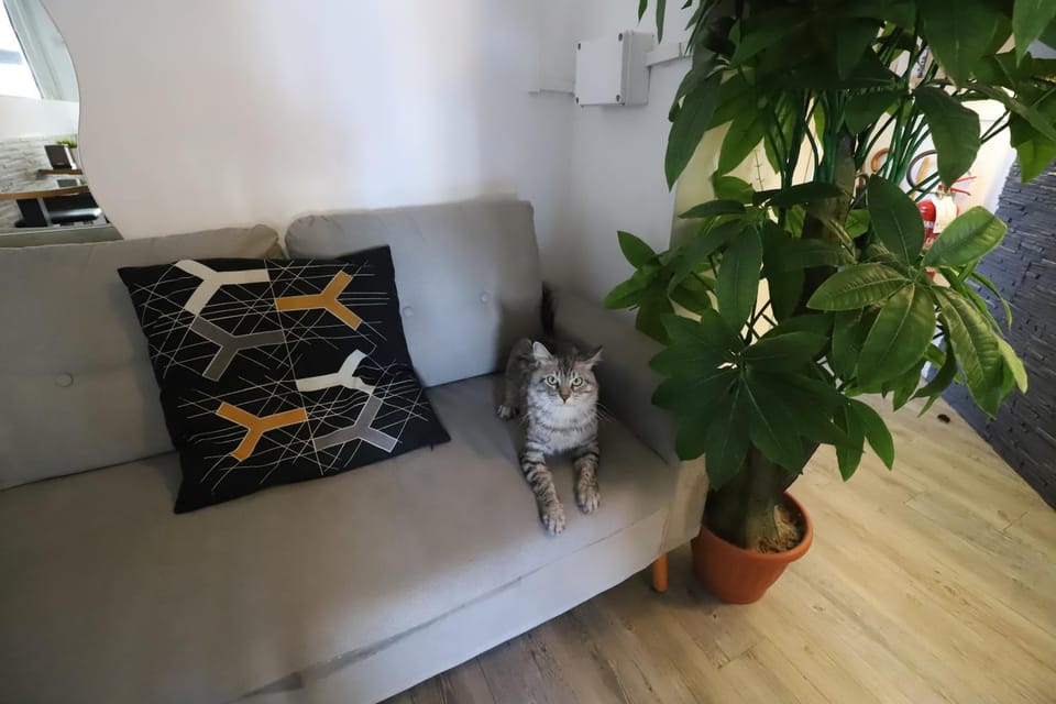 Guest House Pirelli Milano Bed and Breakfast in Milan