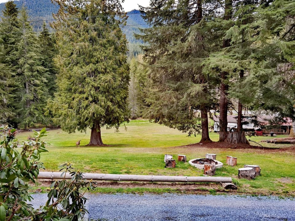 Patio, Day, Natural landscape, Garden, Garden view, Mountain view