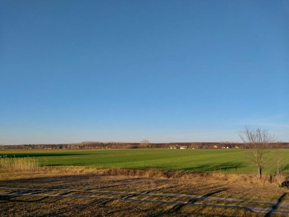 Day, Neighbourhood, Natural landscape, Quiet street view