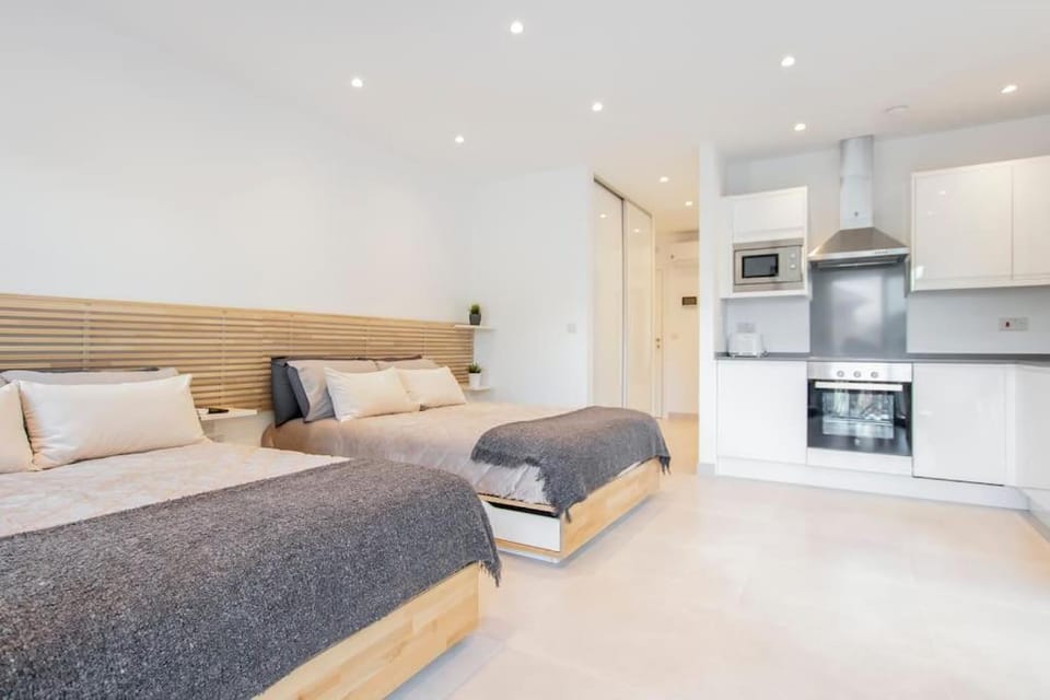 Bed, Kitchen or kitchenette, Photo of the whole room, Bedroom, minibar, pet friendly, stove