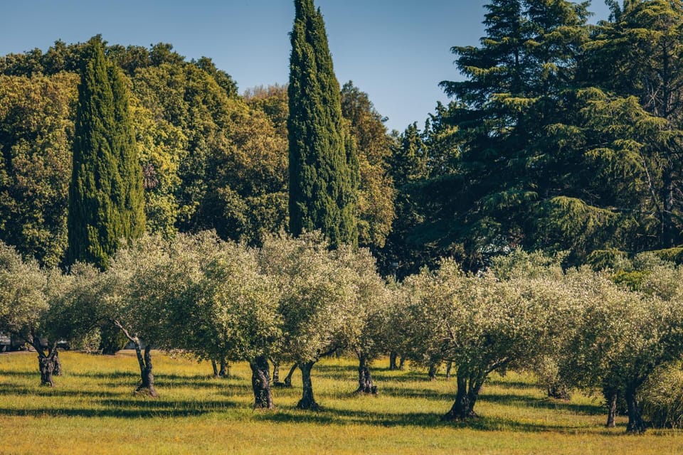 Garden, Garden