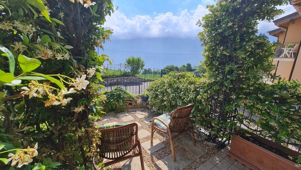 Patio, Mountain view