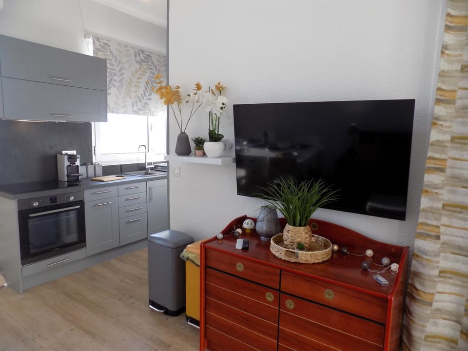 TV and multimedia, Kitchen or kitchenette, oven, stove