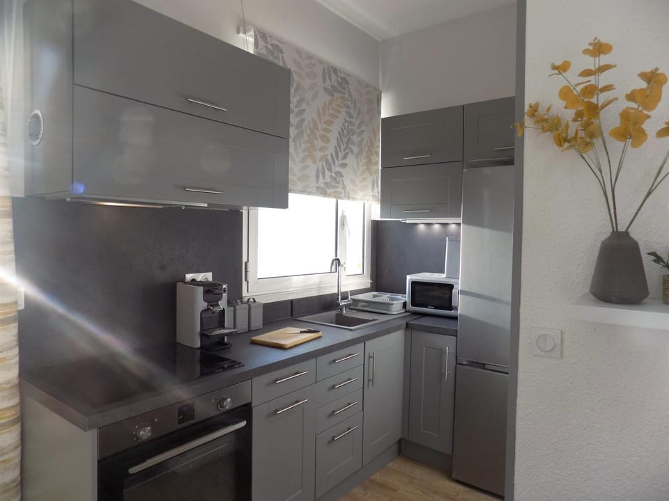 Kitchen or kitchenette, oven, stove, toaster